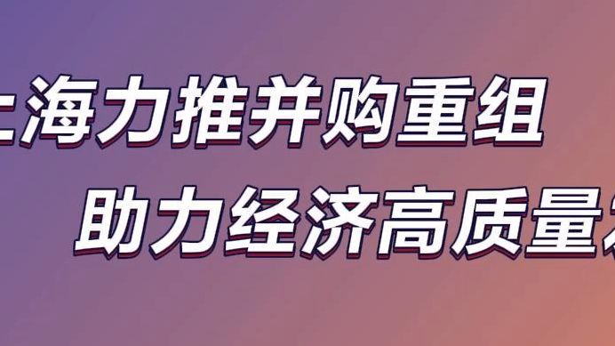 上市公司并购要以高质量发展为目标