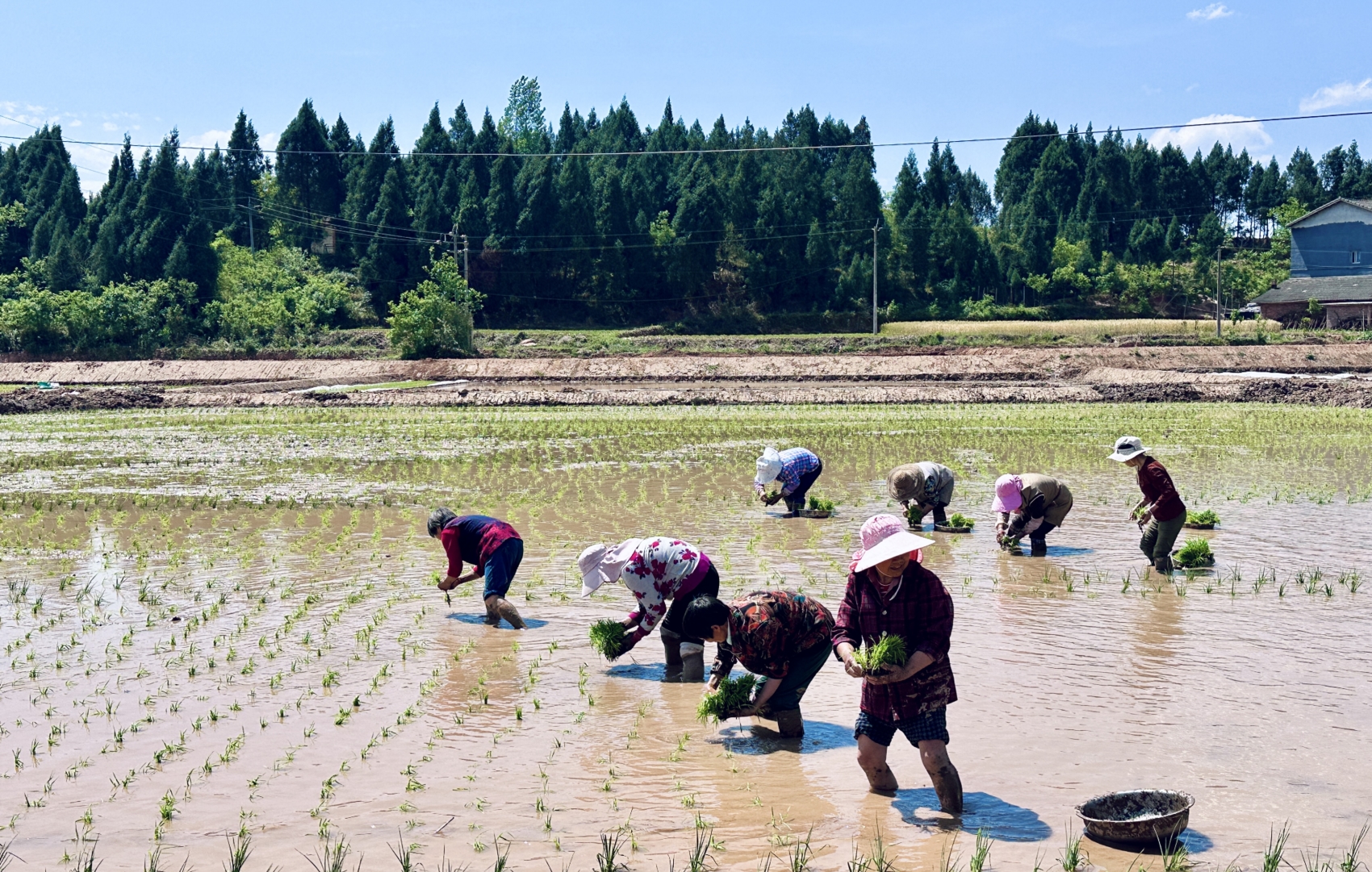 全国累计春灌面积已达2600余万亩