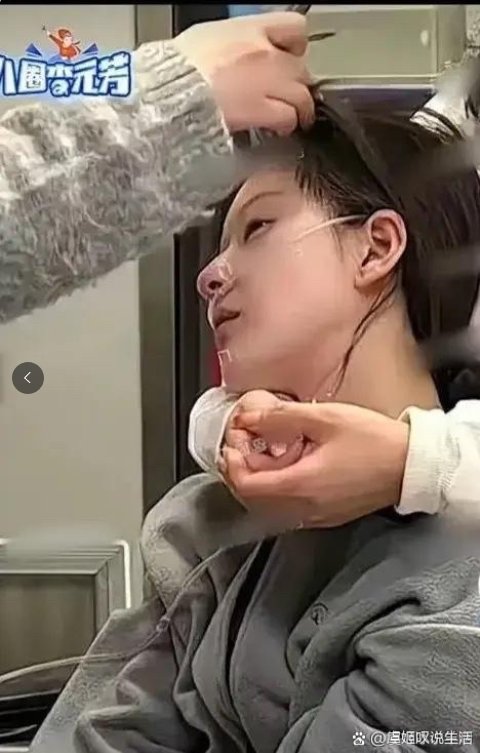 两会新华鲜报｜“她”力量！“花”开中国