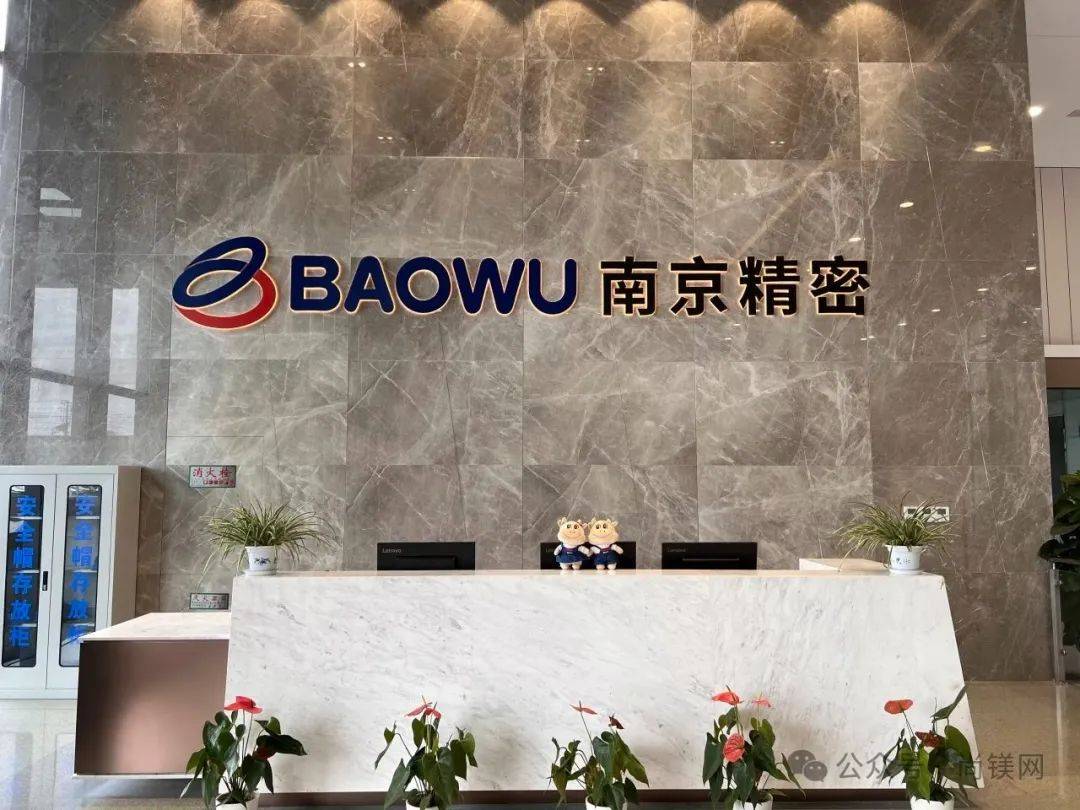 保证独立性承诺履行不到位 宝武镁业控股股东被责令改正