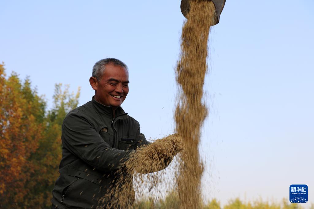 千金一刻农事忙——春分时节各地扎实推进农业生产见闻