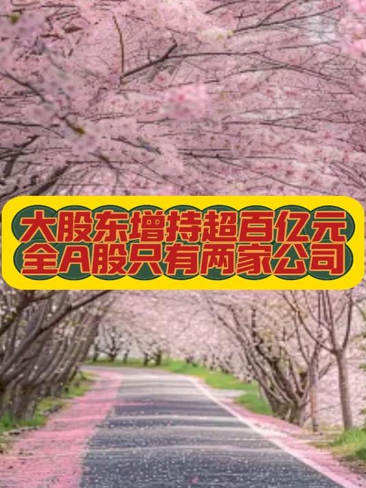邮政集团增持邮储银行1991.02万股A股股份