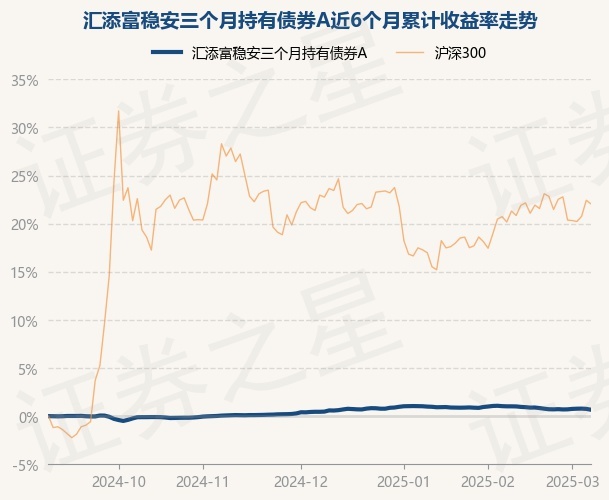 汇添富稳元回报债券发起式A,汇添富稳元回报债券发起式C: 汇添富稳元回报债券型发起式证券投资基金更新招募说明书(2025年3月28日更新)