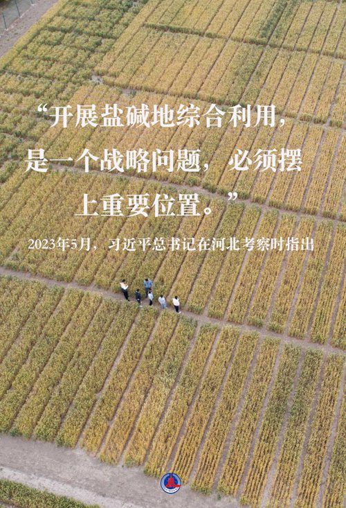 学习进行时丨追寻真理 铸魂育人——习近平总书记对复旦大学寄予厚望