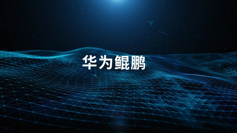 直真科技荣获华为“2024年度鲲鹏优秀实践奖”