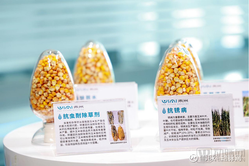 生物制造步入产业化深水区：万亿赛道亟待跨越“中试转化”瓶颈