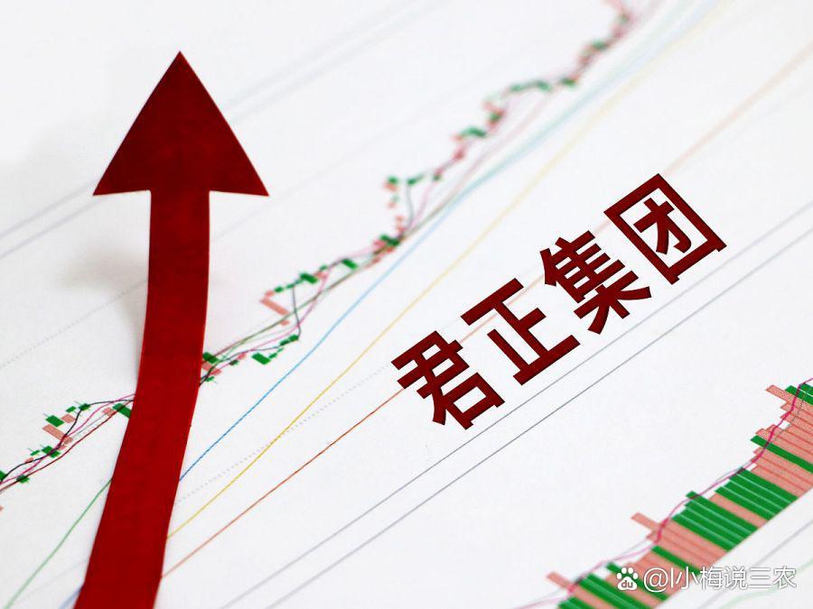 君正集团：君正化工入选2024年内蒙古制造业数字化转型标杆企业名单