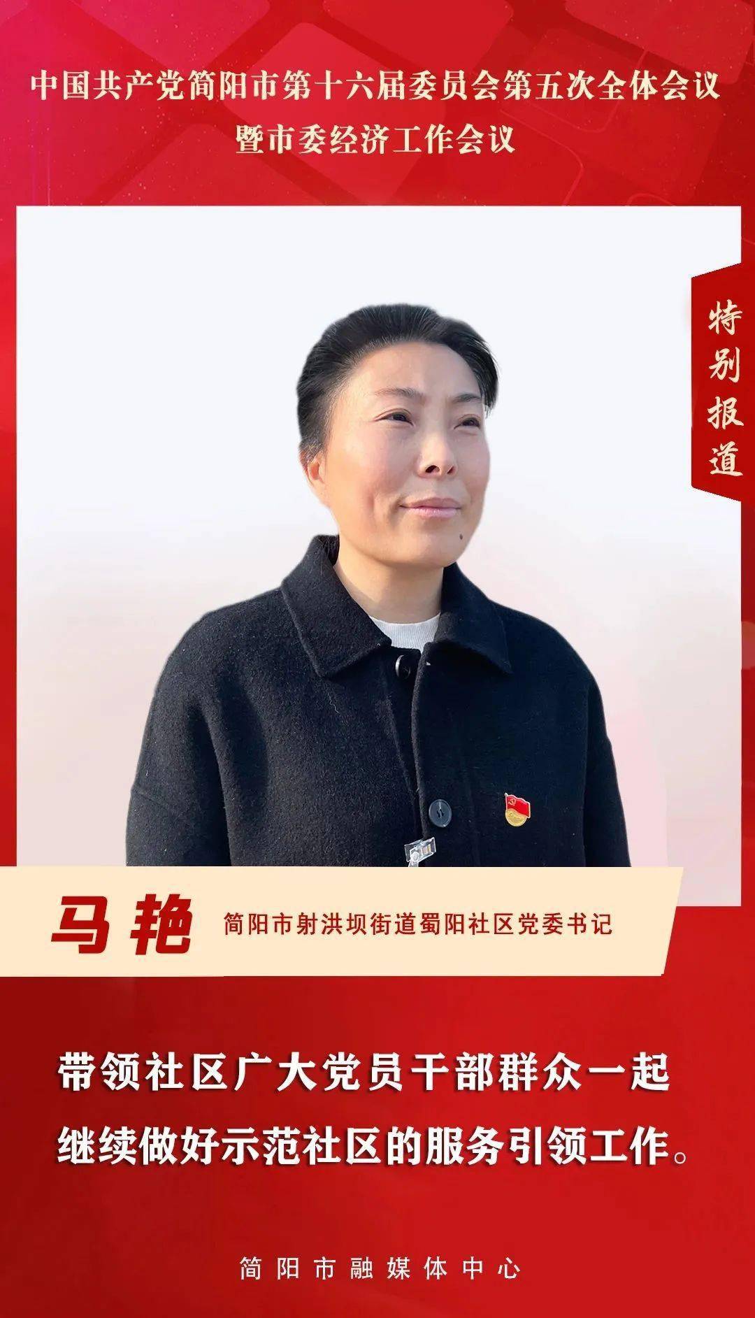 着力优化现代化城市体系——深入贯彻落实中央城市工作会议精神述评之三