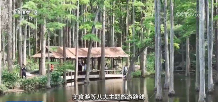 “凉资源”成“热经济”——文旅融合催热云南曲靖“避暑经济”
