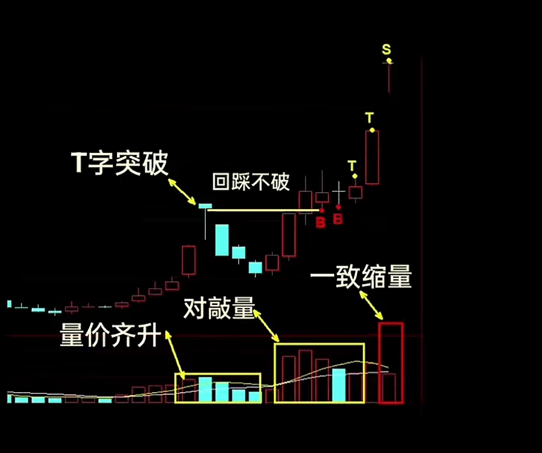 金河生物：化药板块量价齐升 上半年营收净利同比双增