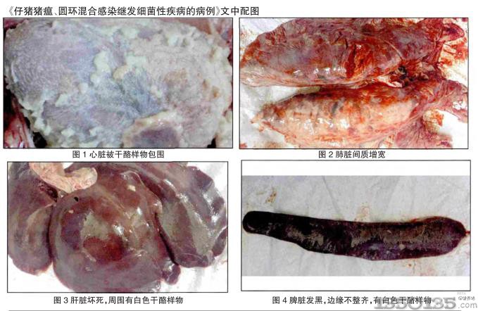 美国报告多起生乳相关细菌感染病例
