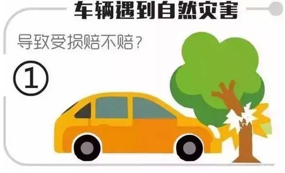 车险冰雹报案已超两万笔 北京保险业落实多种理赔服务举措 　　