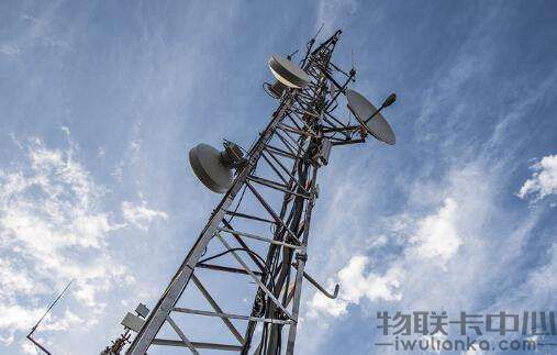 工信部等两部门部署推进“宽带林草”建设