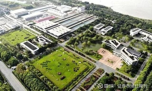 金科环境首发“水萝卜AI智能体” 开辟工业节水增效新路径