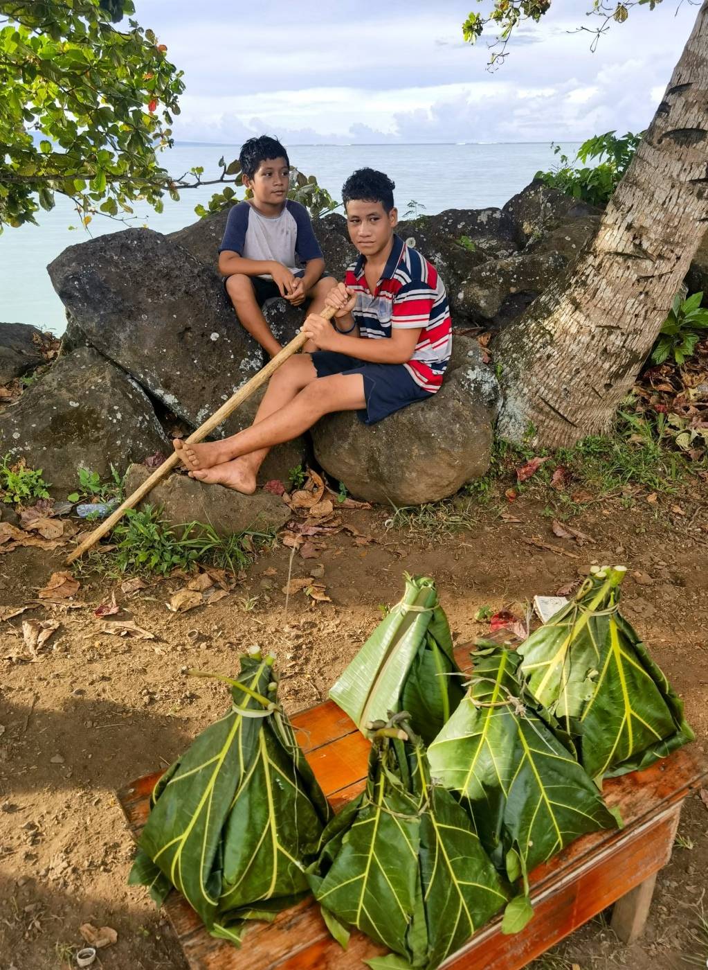 萨摩亚总理点赞双登集团 共筑绿色未来新篇章