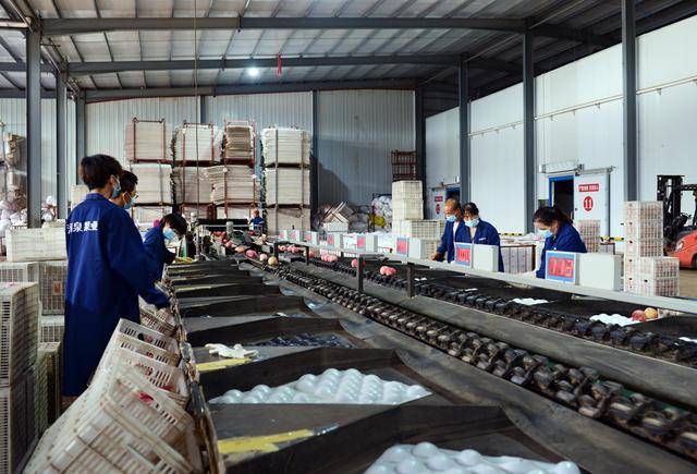 全球瞭望丨法媒：美国高关税重创法国化妆品业