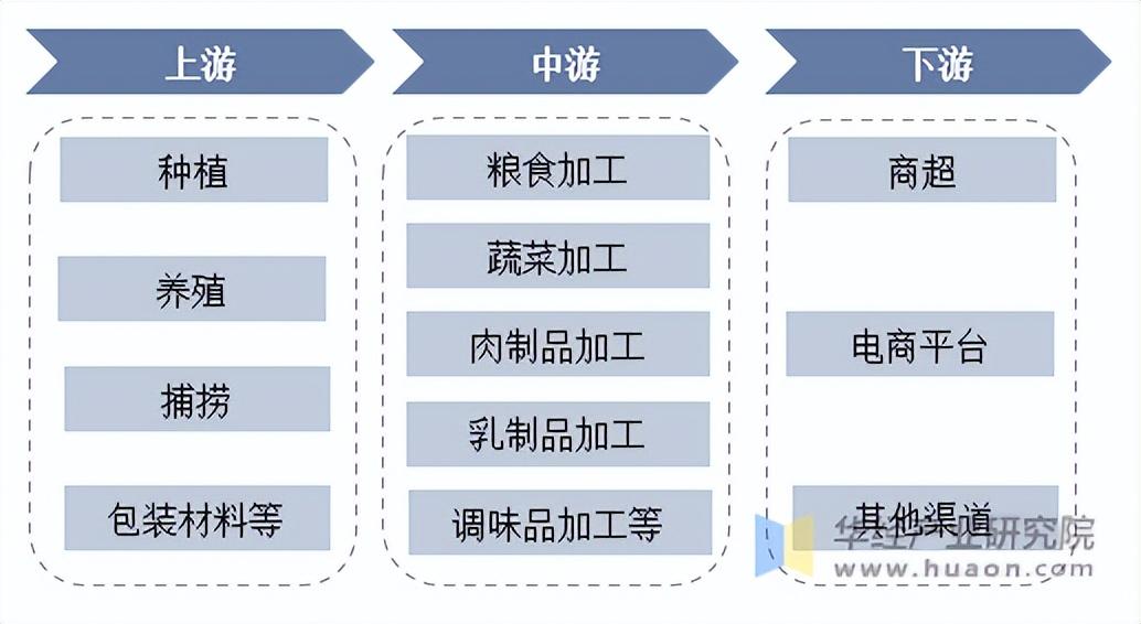 天马科技2025上半年业绩亮眼：养殖食品双爆发，全产业链布局打开增长空间