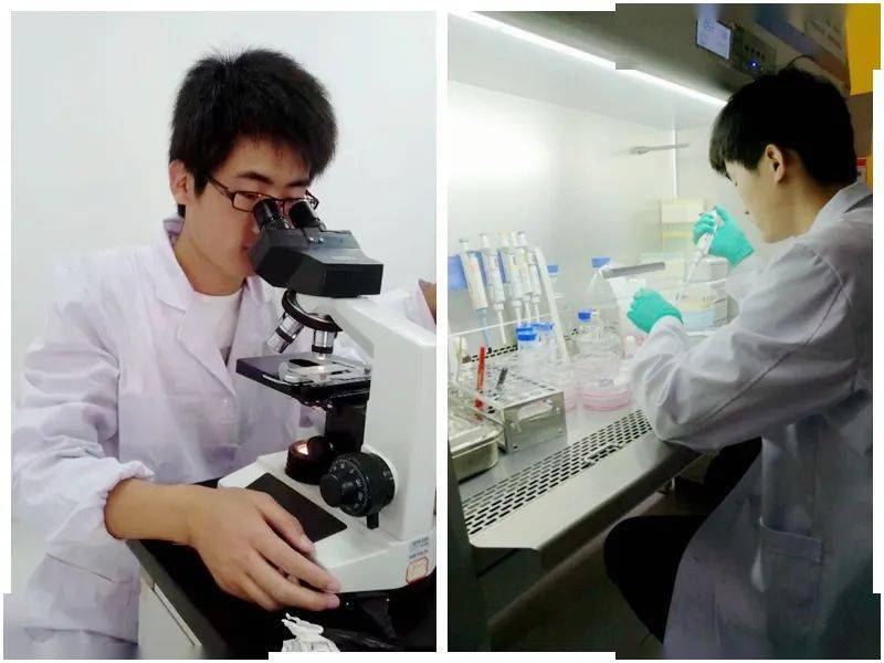 诺和晟泰于药物化学TOP期刊《Journal of Medicinal Chemistry》发表研究论文