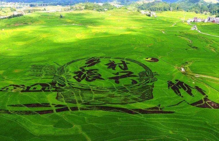 福建：为乡村振兴注入金融“活水”