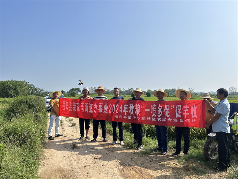 中国供销集团多措并举保障秋粮稳产增收