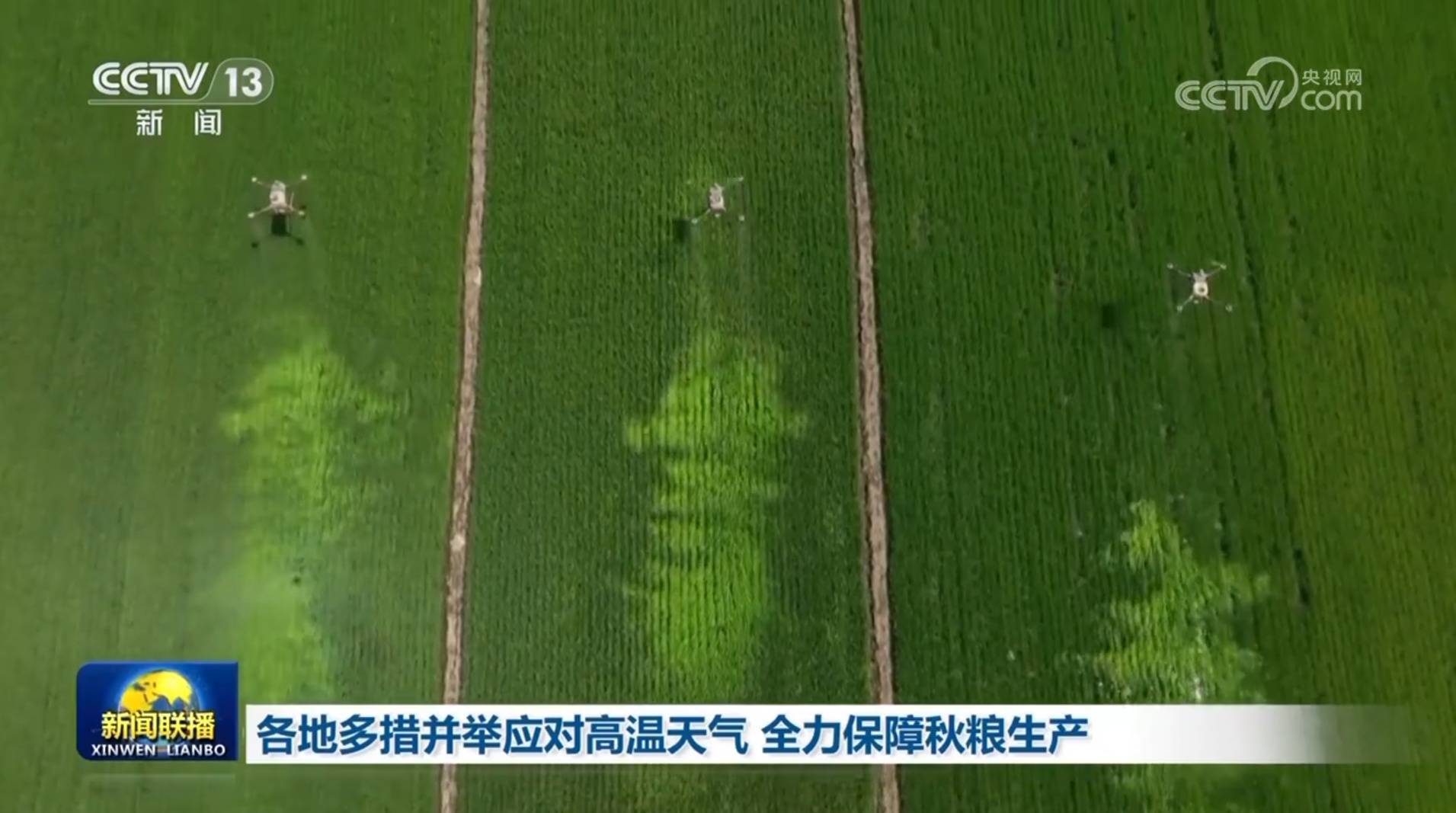 中国供销集团多措并举保障秋粮稳产增收