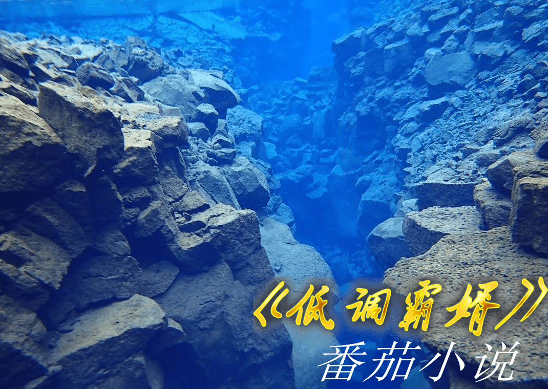 从石沉大海到神奇出现——北冰洋生态海底着陆器惊险回收记