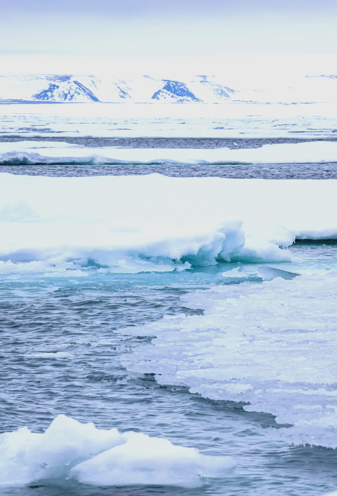 从石沉大海到神奇出现——北冰洋生态海底着陆器惊险回收记