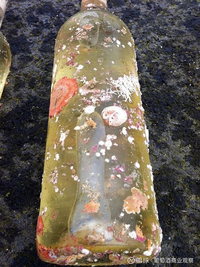 从石沉大海到神奇出现——北冰洋生态海底着陆器惊险回收记