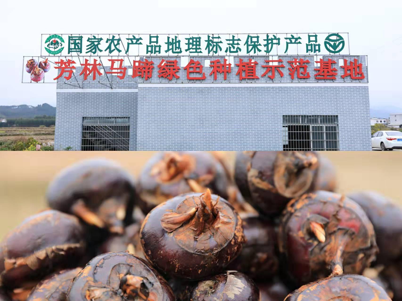 海科新源:湖北基地产销进展良好