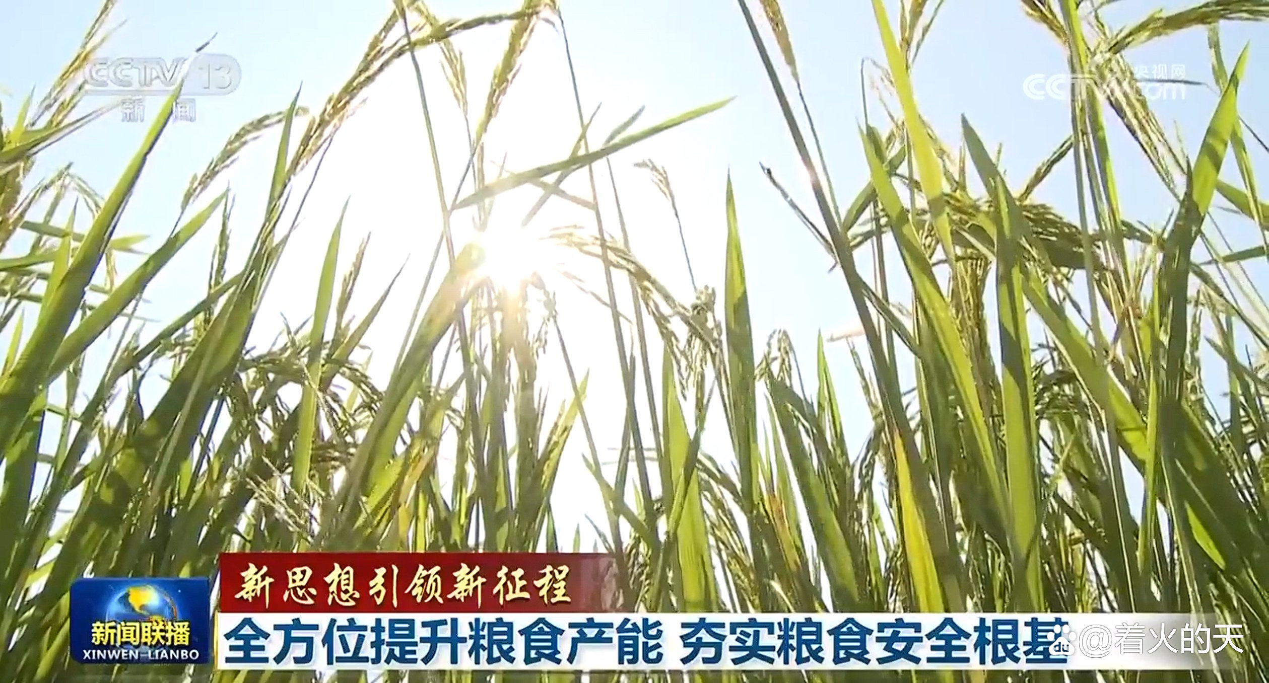 农发行出台十条措施全力保障连阴雨天气影响地区粮食收购