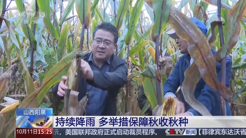 抢收,与连阴雨赛跑!——各地各部门全力以赴保秋收秋种