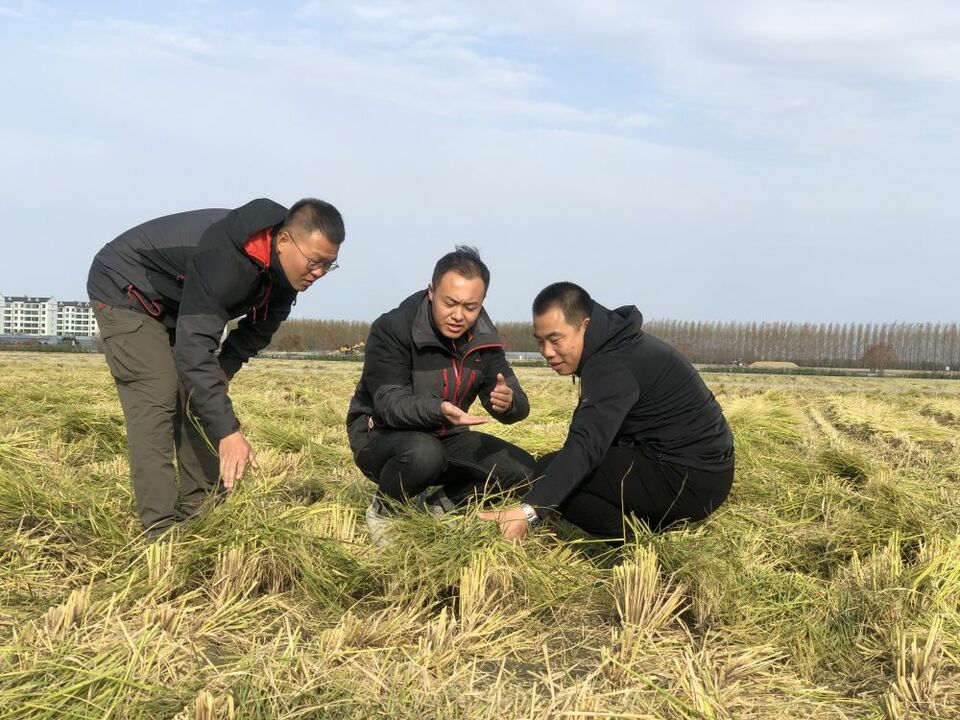 习近平总书记关切事｜沃野“攀高”记