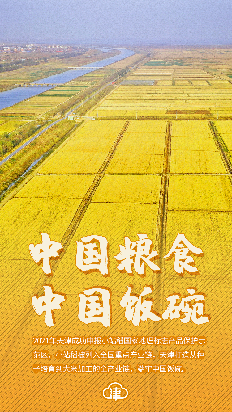 权威访谈丨全链条推进节粮减损 端牢中国饭碗——专访国家粮食和物资储备局局长刘焕鑫