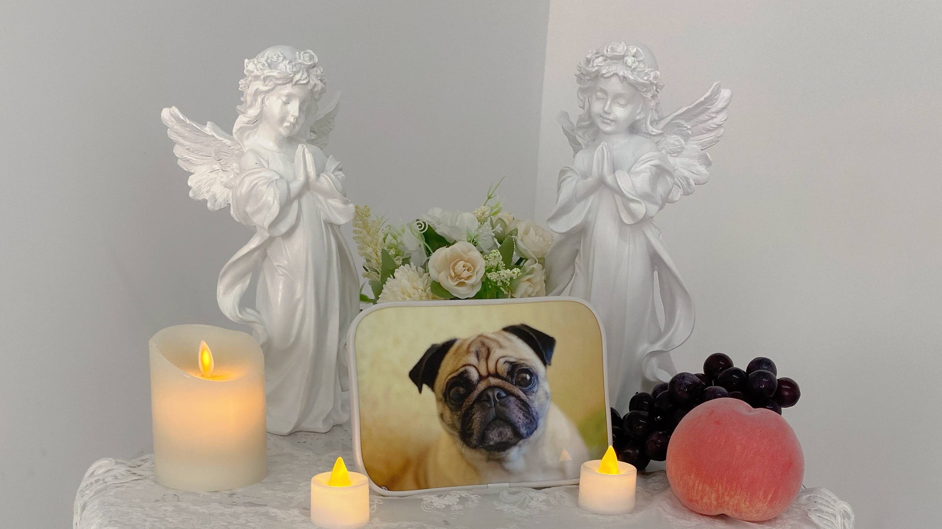 宠物殡葬师为生命温柔谢幕 现存相关企业超4.3万家