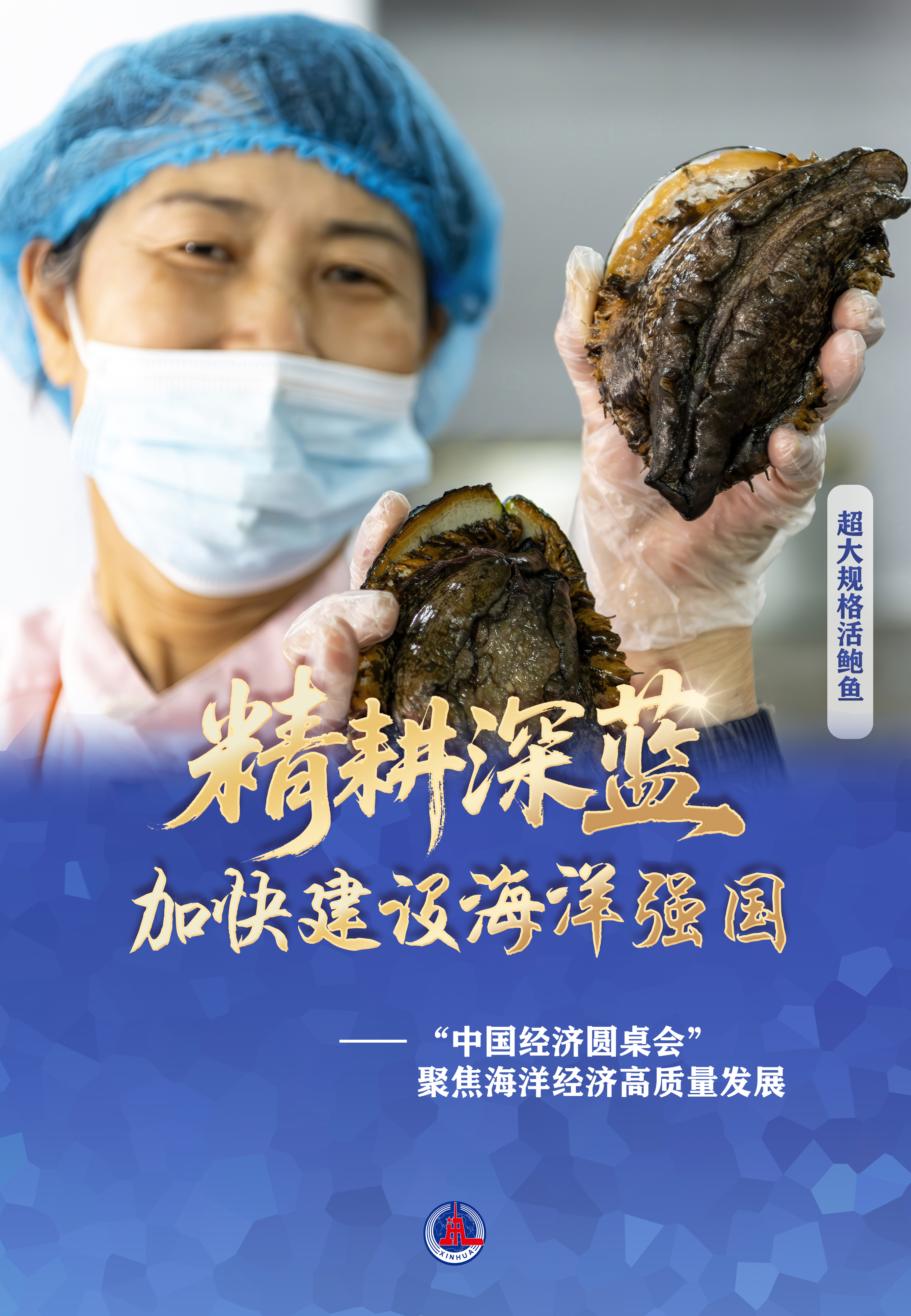 海洋经济再迎利好 多家上市公司已深度布局