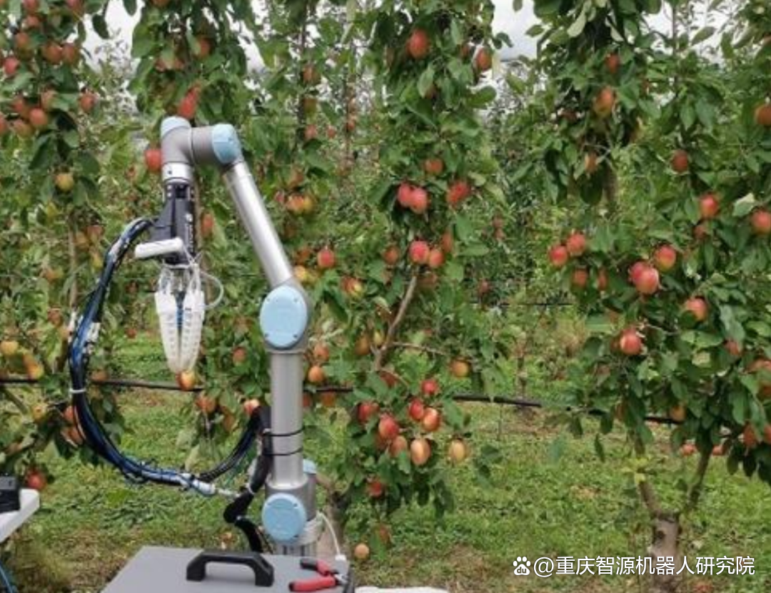 机器人采摘无人机运送 科技绘就农业丰收新图景