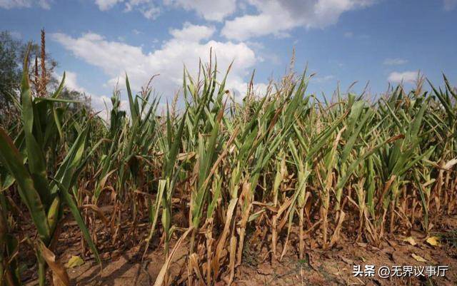 调查显示德国工业企业持续受困于关税冲击