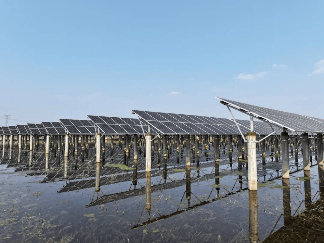 陇神戎发：前三季度净利润同比增长8.11% 经营质效稳步提升