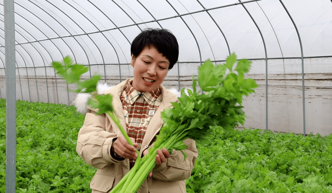 沙漠光伏:点亮绿色新希望 现存光伏相关企业超116.7万家