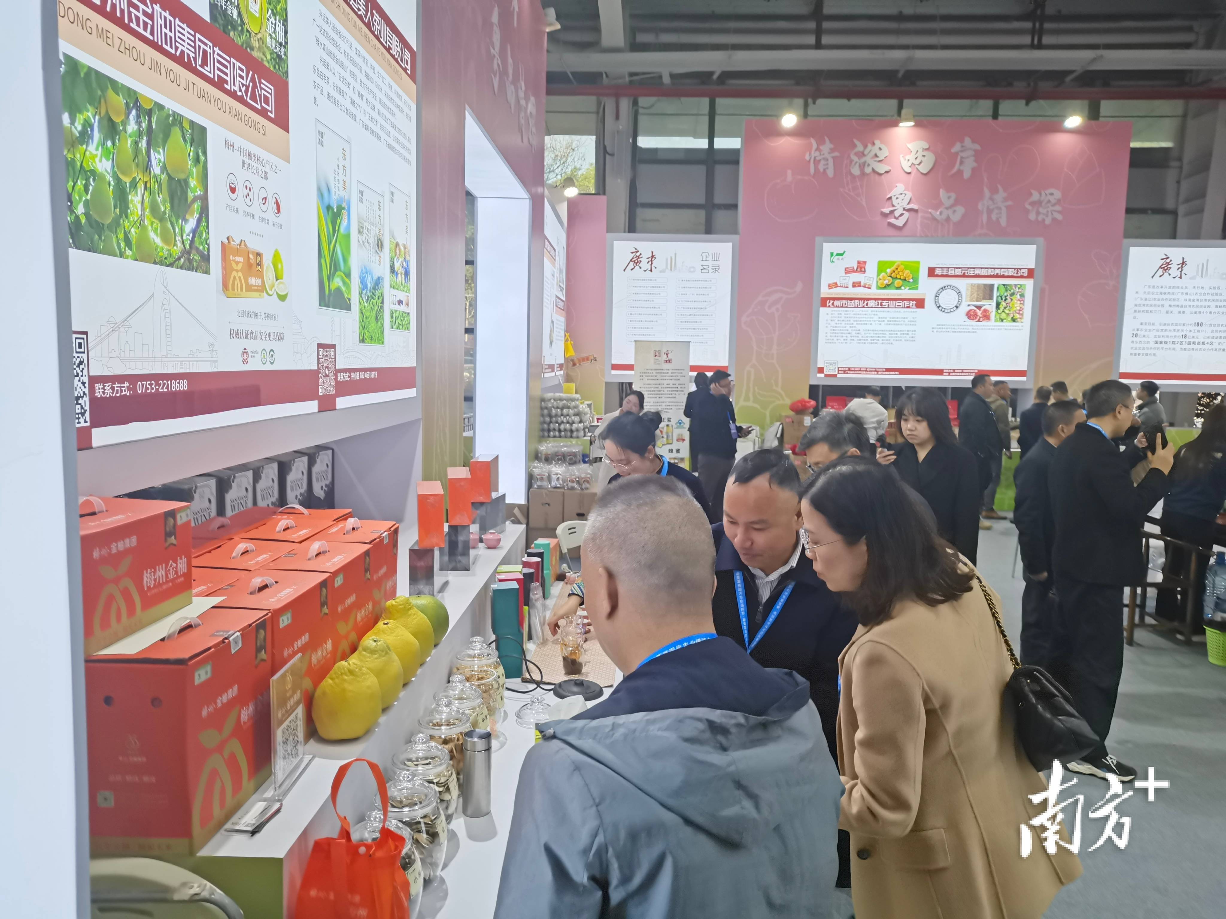 首届海峡养老产业博览会聚焦两岸银发经济融合发展