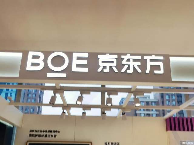 京东方Ａ: 京东方科技集团股份有限公司2025年面向专业投资者公开发行科技创新公司债券（第二期）募集说明书