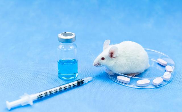 研发人员骤降 百奥赛图闯关科创板