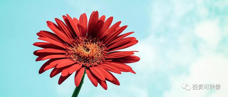 多只可转债将被赎回 “幸福的烦恼”交织上演