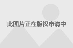 进一步促进民间投资发展 有关部门将这样发力