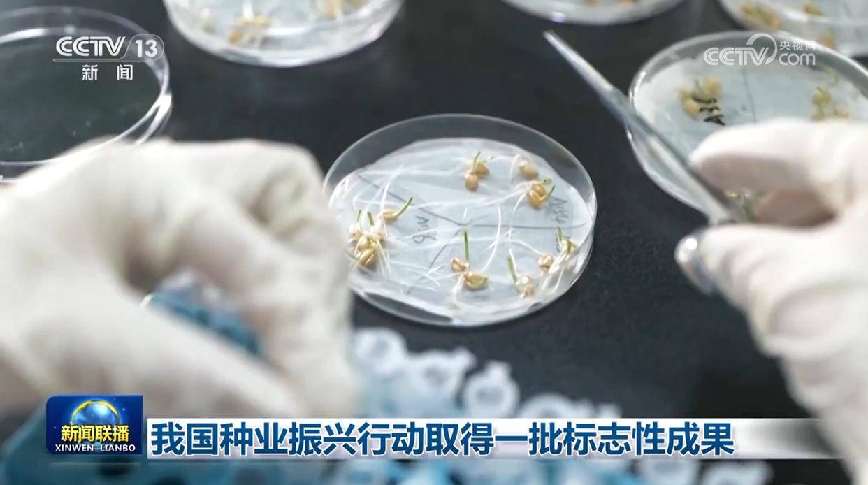 用更多好种子守护美好生活——种业振兴行动五年间