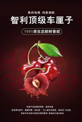 通讯：智利“车厘子快线”启程　见证中国市场全球机遇