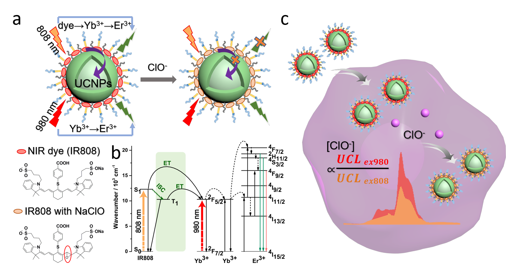 科研团队为稀土穿上“能量转换外衣”
