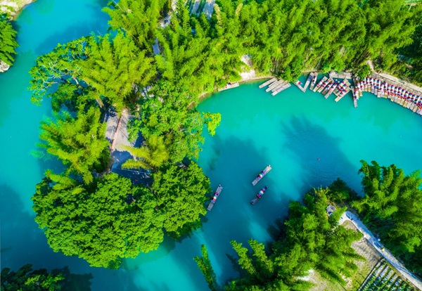 第19届成长型医药企业发展大会在浙江丽水开幕