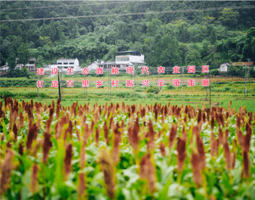 中青旅荣获“ESG乡村振兴金牛奖”