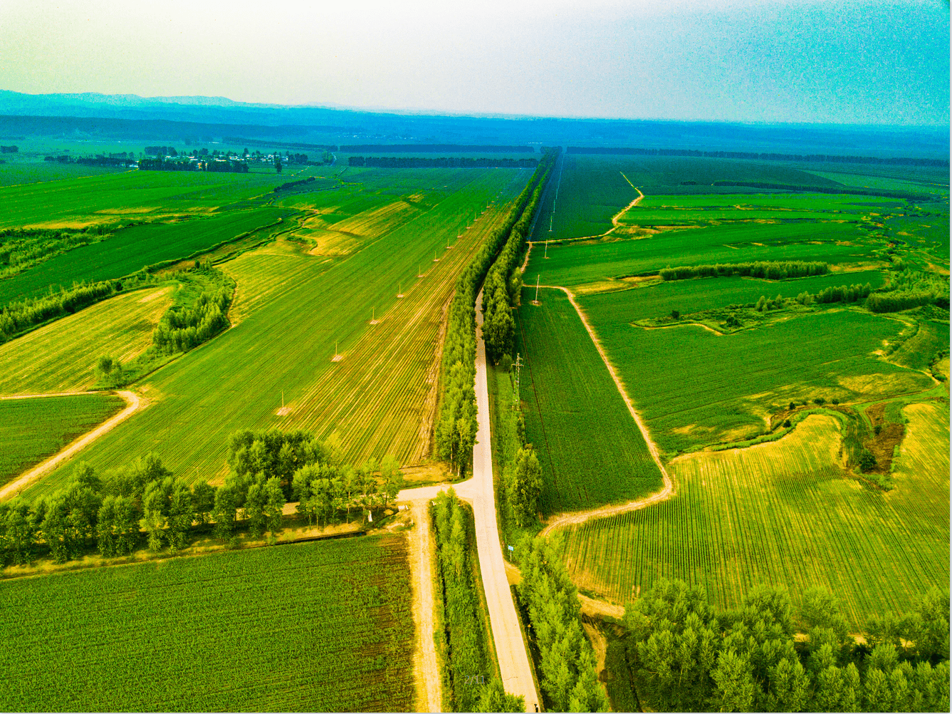 雅图高新冯兆均：全面推进国际化战略 助力行业高质量发展